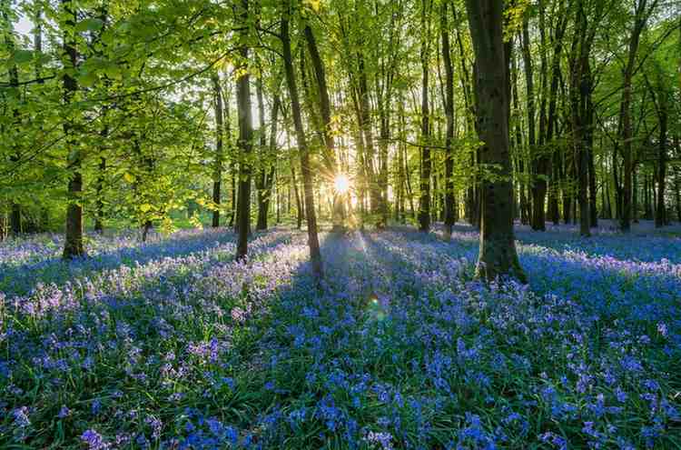 Seasonal Celebrations at Haven on the Farm